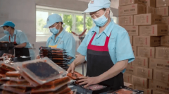 暖锅食材加工项目可行性研究演讲